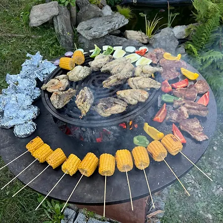 Hejmovka ゲストハウス